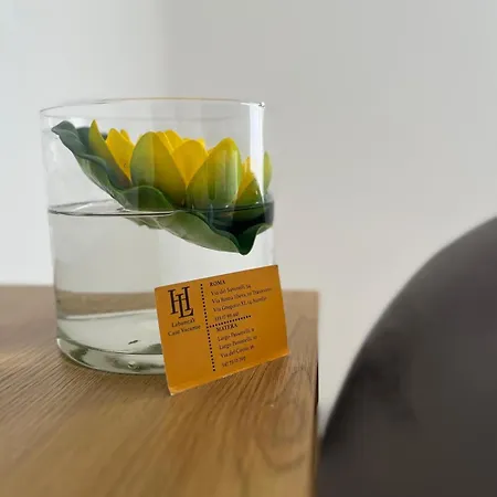 Labanca's Comfort بيت ضيافة *